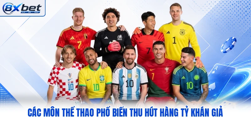 C ác môn thể thao phổ biến thu hút hàng tỷ khán giả