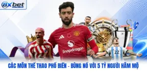 Các Môn Thể Thao Phổ Biến - Bùng Nổ Với 5 Tỷ Người Hâm Mộ