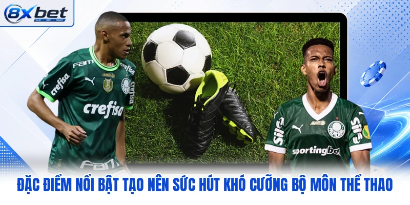 Đặc điểm nổi bật tạo nên sức hút khó cưỡng bộ môn thể thao