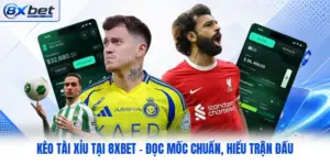 Kèo Tài Xỉu Tại 8XBET - Đọc Mốc Chuẩn, Hiểu Trận Đấu