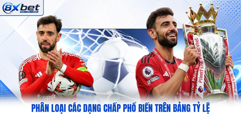 Phân loại các dạng chấp phổ biến trên bảng tỷ lệ