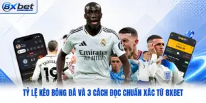 Tỷ Lệ Kèo Bóng Đá Và 3 Cách Đọc Chuẩn Xác Từ 8XBET
